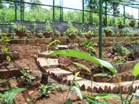 Foto 9