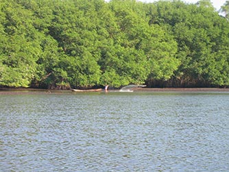 Natural Parks, El Salvador